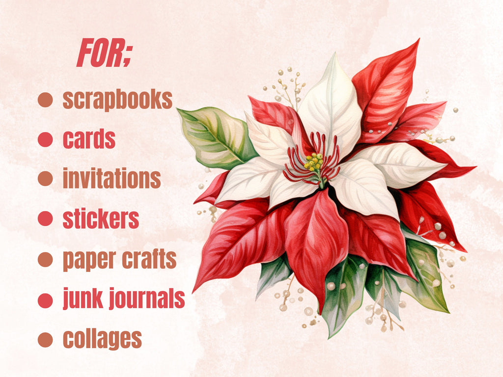 35 PNG Watercolor Christmas Flowers Clipart, Merry Christmas Bouquets Clip art, Winter Arrangement Graphic png, Xmas Noel Sublimation Bundle