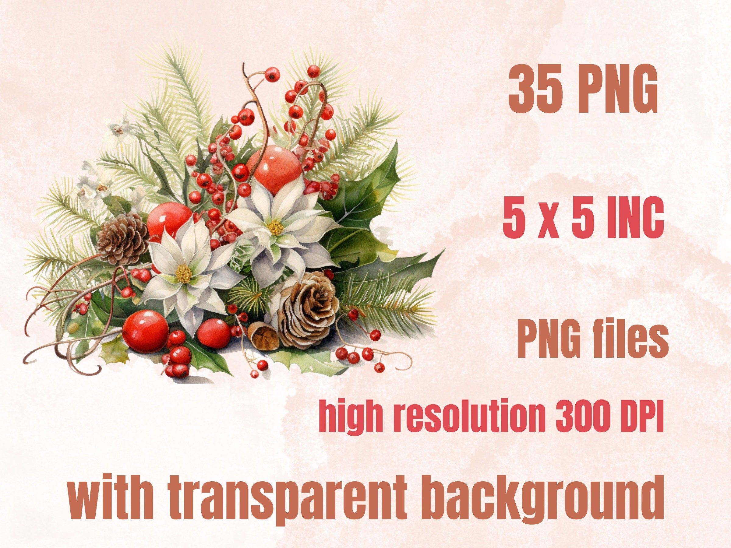 35 PNG Watercolor Christmas Flowers Clipart, Merry Christmas Bouquets Clip art, Winter Arrangement Graphic png, Xmas Noel Sublimation Bundle