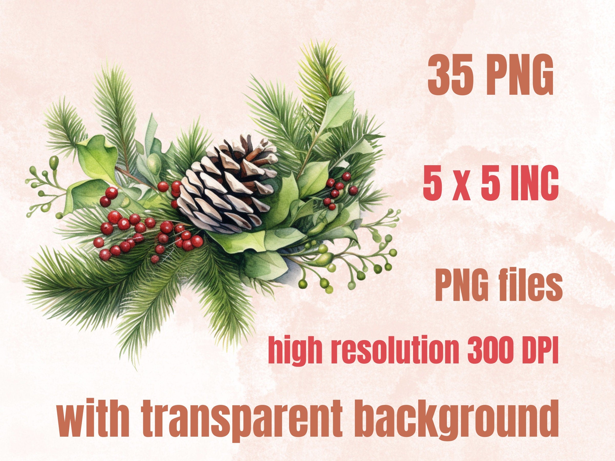 35 PNG Watercolor Christmas Greenery Clipart, Merry Christmas Botanical Clip art, Winter Arrangement Graphic png, Xmas Noel Sublimation