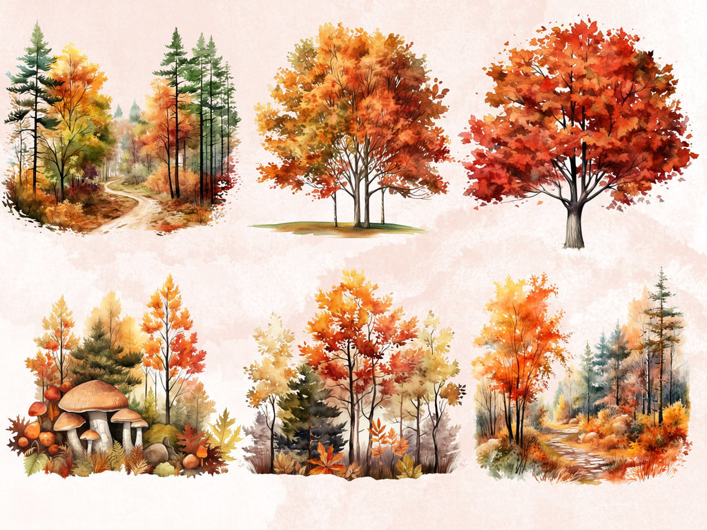 32 PNG Watercolor Fall Woodland Clipart, Autumn Forest Illustrations Clip art, Floral Fall Mushroom png, Autumn Foliage Trees Sublimation
