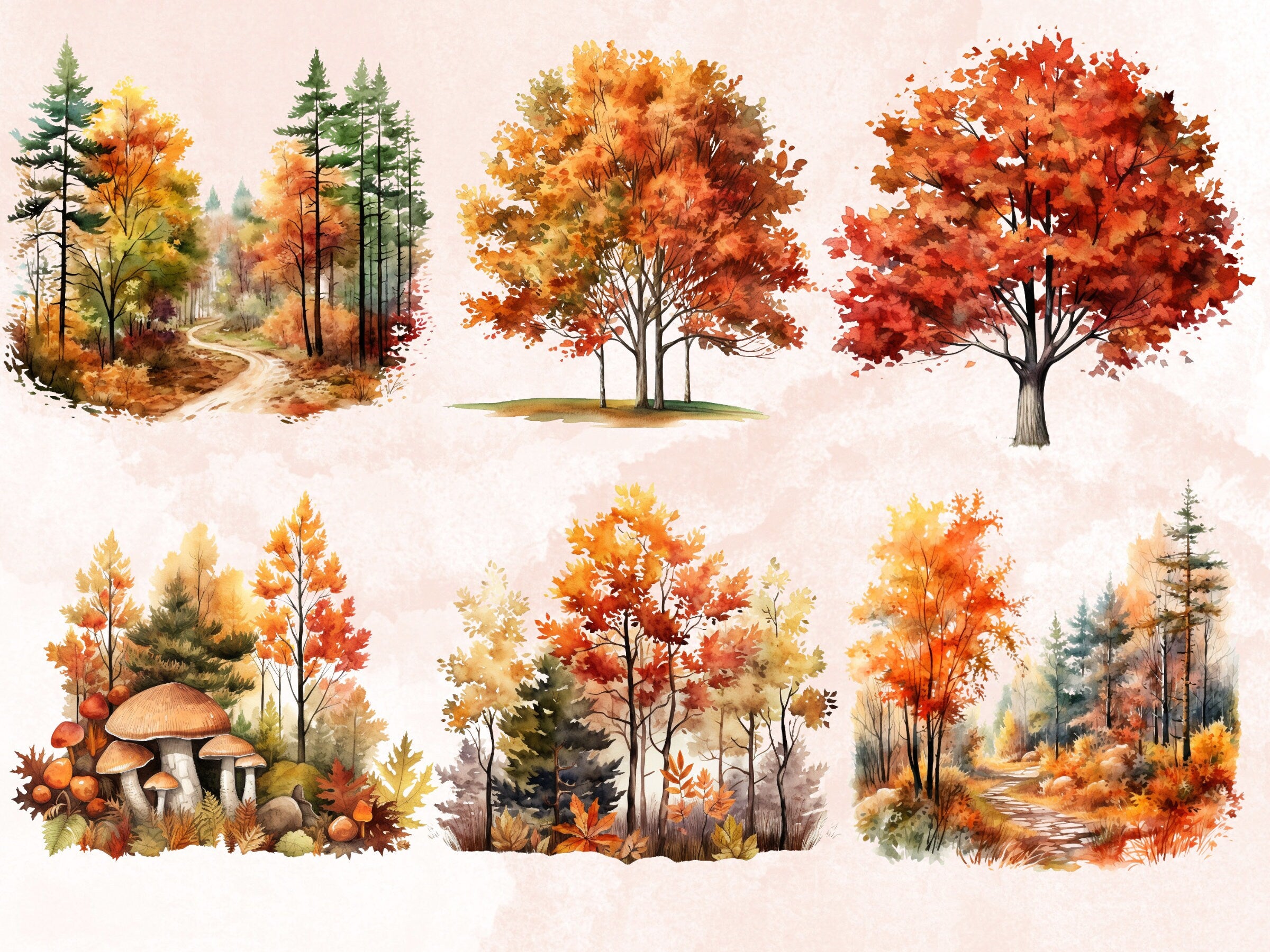 32 PNG Watercolor Fall Woodland Clipart, Autumn Forest Illustrations Clip art, Floral Fall Mushroom png, Autumn Foliage Trees Sublimation
