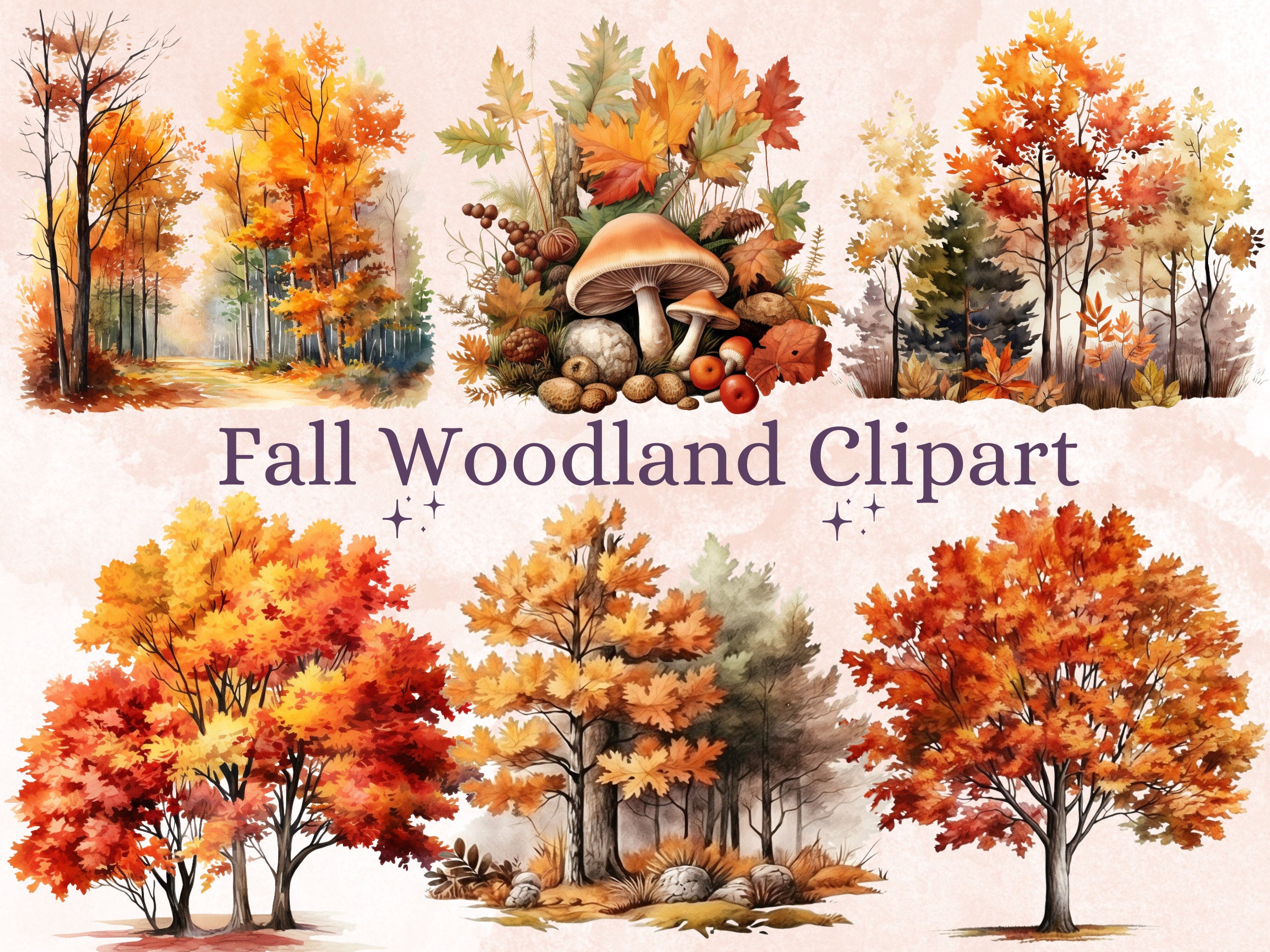 32 PNG Watercolor Fall Woodland Clipart, Autumn Forest Illustrations Clip art, Floral Fall Mushroom png, Autumn Foliage Trees Sublimation
