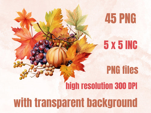 45 PNG Watercolor Fall Botanical Clipart, Autumn Flowers Illustrations Clip art, Floral Fall Mushroom png, Autumn Leaves Foliage Sublimation