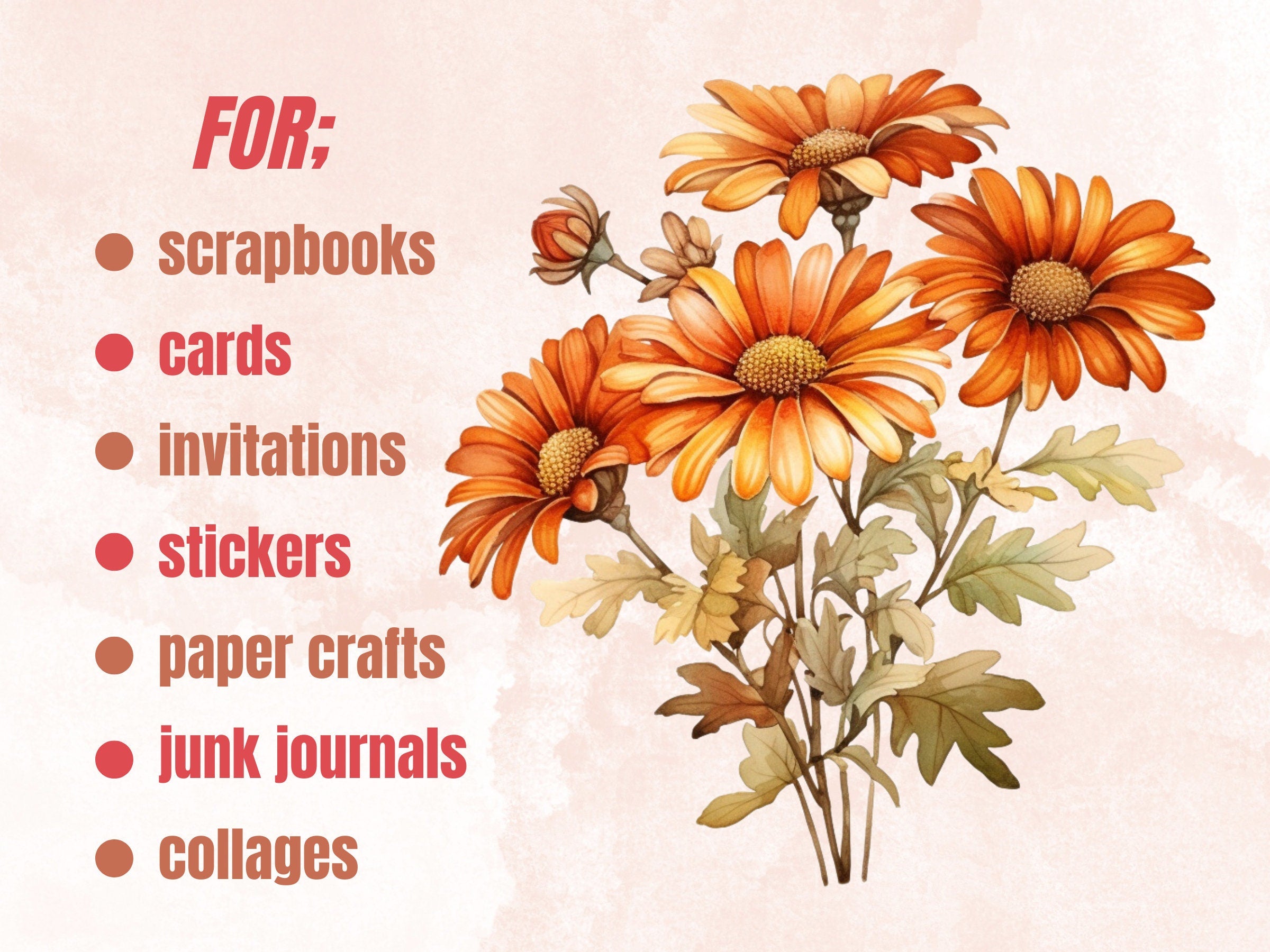 45 PNG Watercolor Fall Botanical Clipart, Autumn Flowers Illustrations Clip art, Floral Fall Mushroom png, Autumn Leaves Foliage Sublimation
