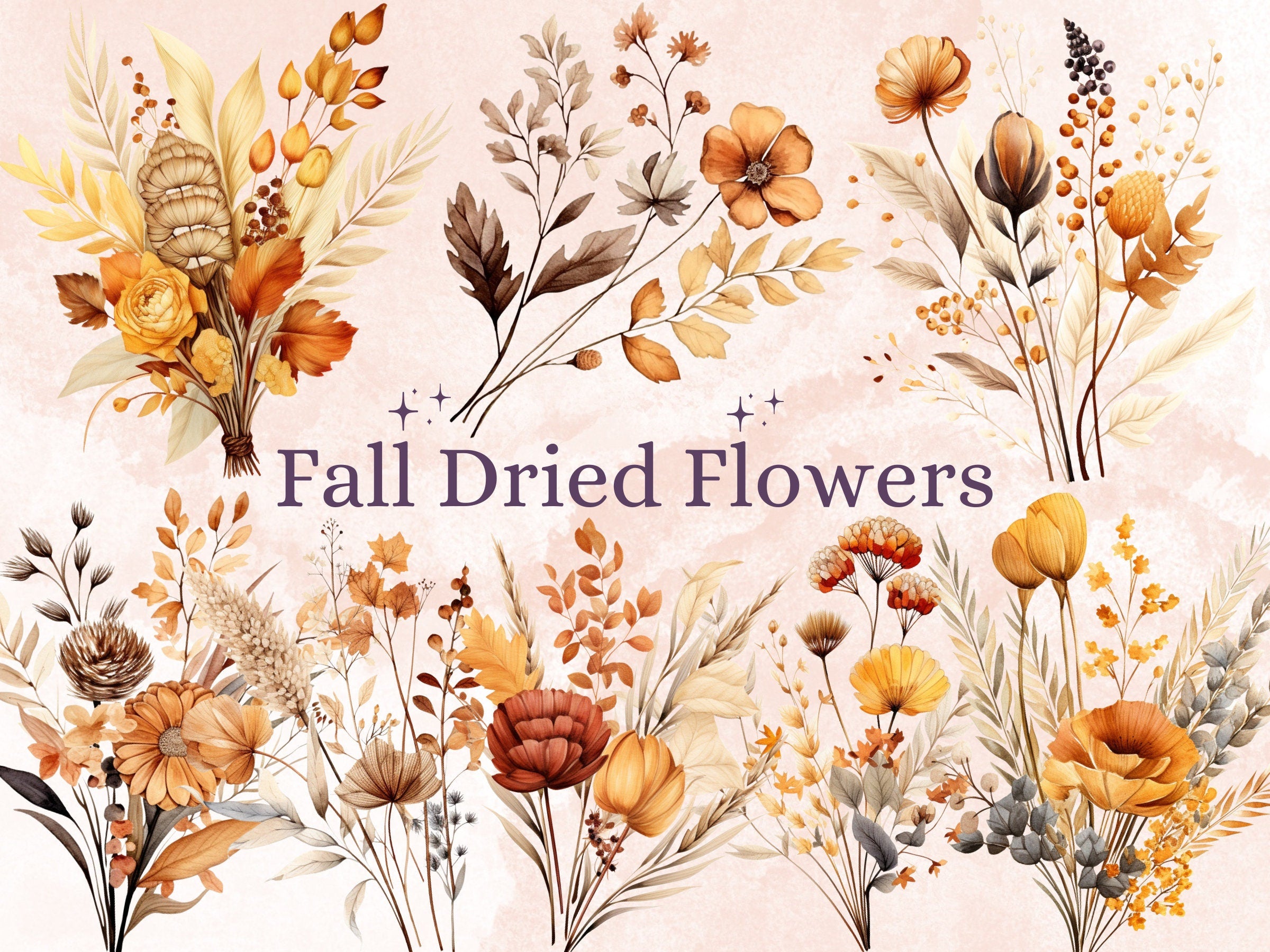 35 PNG Watercolor Fall Dried Flowers Clipart, Autumn Boho Wildflowers Illustrations Clip art, Fall Bouquets png, Autumn wedding invitation