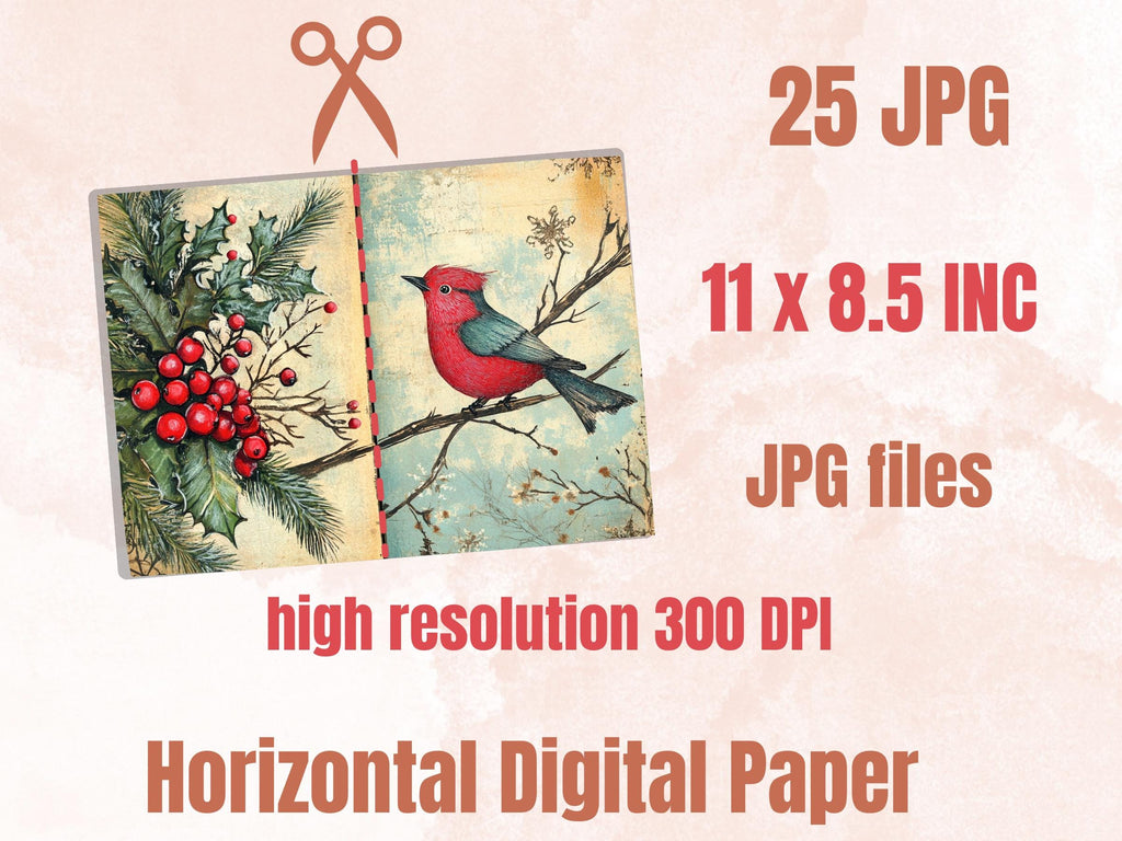 Christmas Bird Junk Journal Kit, Winter Hummingbird Ephemera, Mixed Media Collage Sheet, Xmas Scrapbook Paper, Quirky Christmas ATC Card
