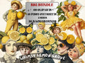 Whimsy Lemon Grove Collage Elements, Whimsical Lemon Fussy Cut, Surreal Floral Clipart, Summer Junk Journal, Yellow Clipart Background