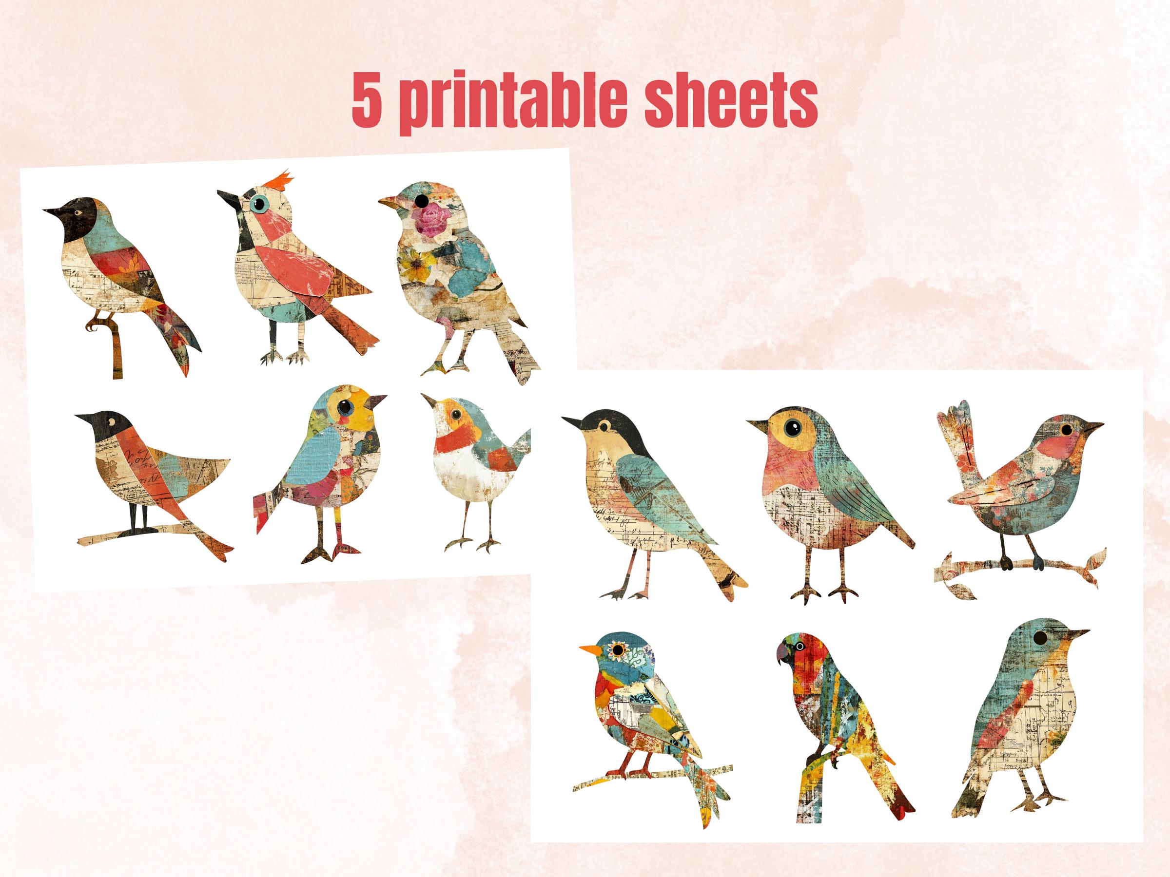 Whimsical Bird Mixed Media Clipart, Whimsy Bird Fussy Cut Collage Sheet, Quirky Cut Out Ephemera, Grunge Texture for Scrapbook, Junk Journal