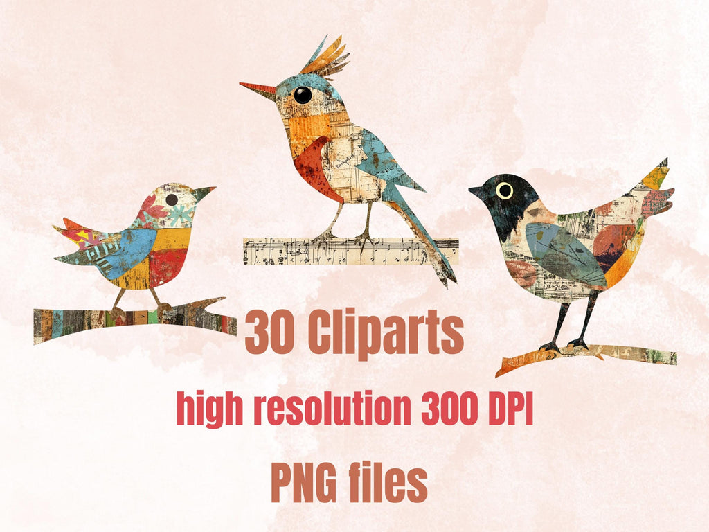 Whimsical Bird Mixed Media Clipart, Whimsy Bird Fussy Cut Collage Sheet, Quirky Cut Out Ephemera, Grunge Texture for Scrapbook, Junk Journal