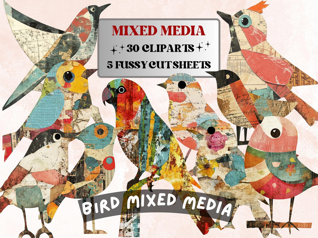 Whimsical Bird Mixed Media Clipart, Whimsy Bird Fussy Cut Collage Sheet, Quirky Cut Out Ephemera, Grunge Texture for Scrapbook, Junk Journal