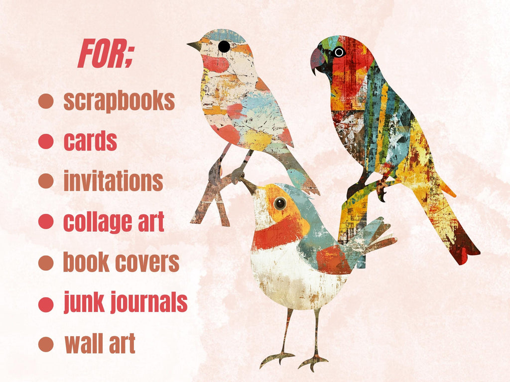 Whimsical Bird Mixed Media Clipart, Whimsy Bird Fussy Cut Collage Sheet, Quirky Cut Out Ephemera, Grunge Texture for Scrapbook, Junk Journal