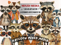 Whimsical Raccoon Mixed Media Clipart, Whimsy Raccoon Fussy Cut Collage Sheet, Quirky Cut Out Ephemera, PNG + JPG for Scrapbooking, Journal