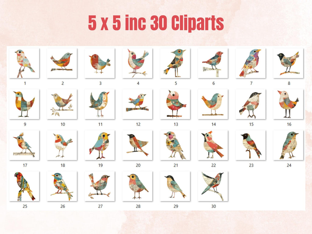 Whimsical Bird Mixed Media Clipart, Whimsy Bird Fussy Cut Collage Sheet, Quirky Cut Out Ephemera, Grunge Texture for Scrapbook, Junk Journal