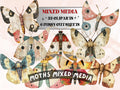 Whimsical Moths Mixed Media Clipart, Whimsy Butterfly Fussy Cut Collage Sheet, Quirky Cut Out Ephemera, PNG + JPG for Scrapbooking, Journal