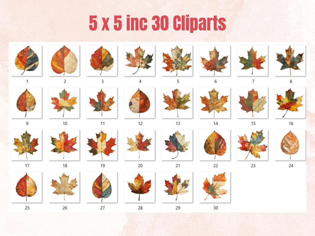 Autumn Leaf Mixed Media Clipart, Whimsical Fall Leaves Fussy Cut Collage Sheet, Quirky Cut Out Ephemera, PNG + JPG for Fall Scrapbooking