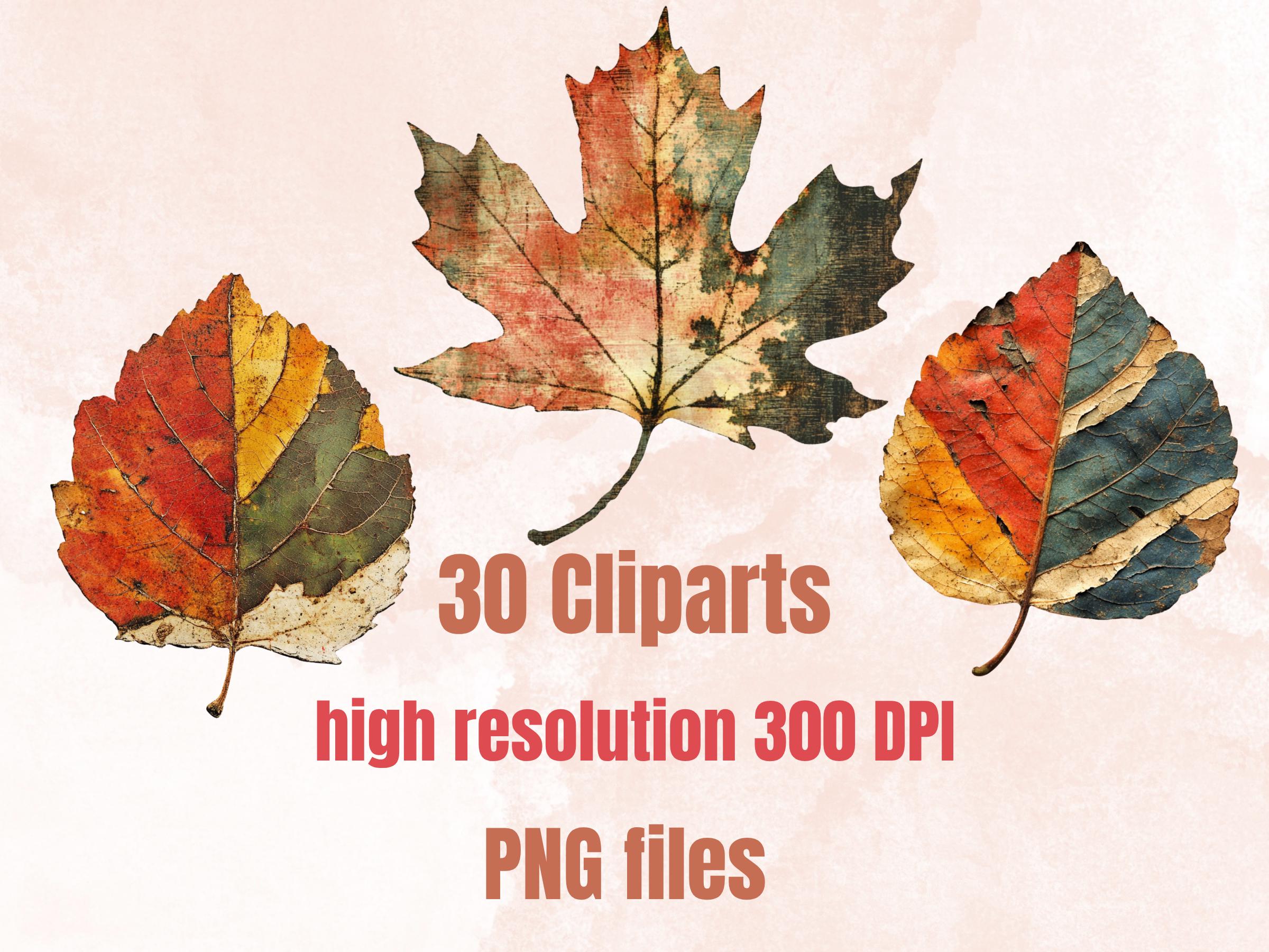 Autumn Leaf Mixed Media Clipart, Whimsical Fall Leaves Fussy Cut Collage Sheet, Quirky Cut Out Ephemera, PNG + JPG for Fall Scrapbooking