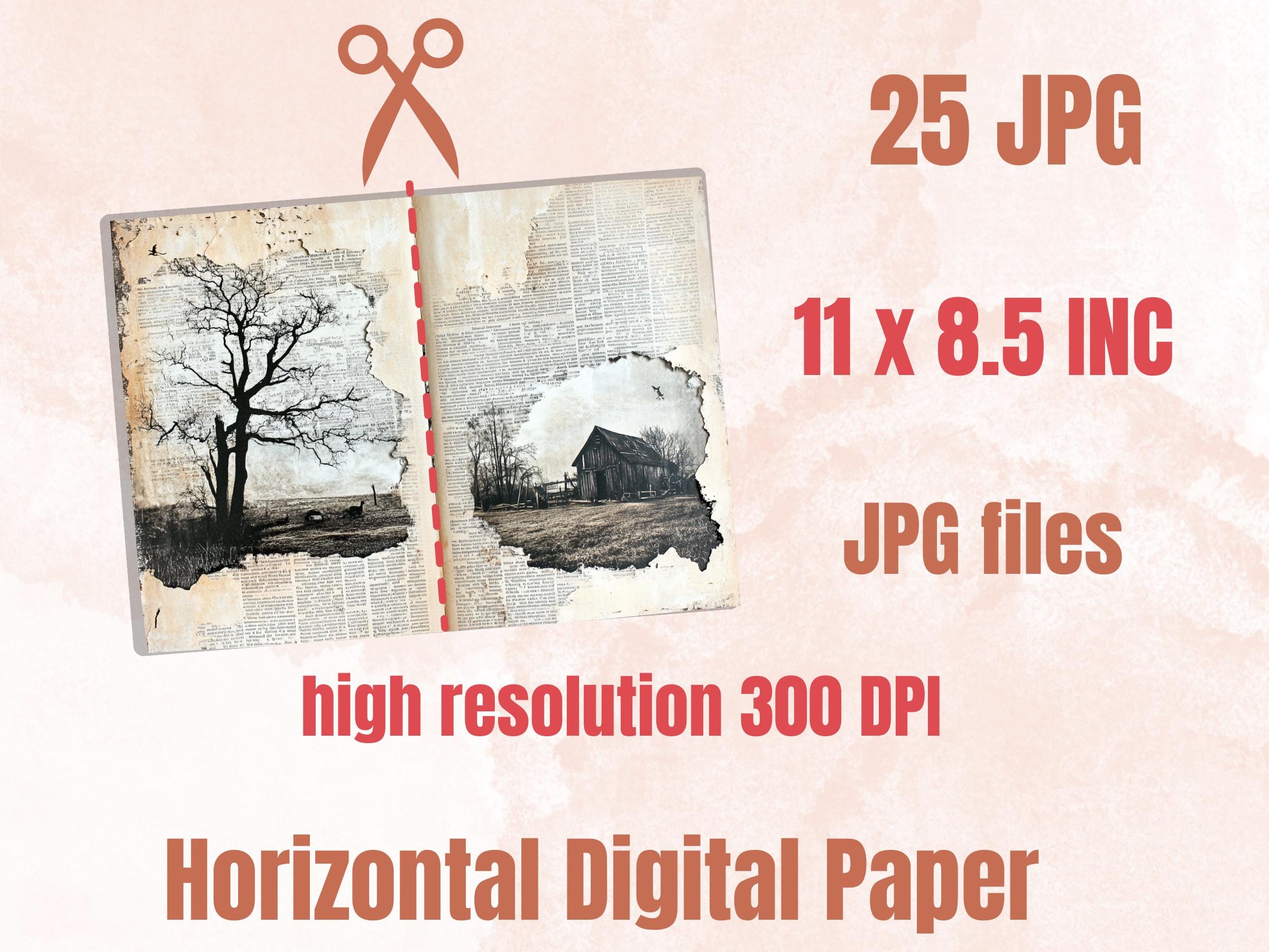 Farm Newspaper Ephemera Kit, Creepy Farm Mixed Media Paper, Gothic Country Newspaper Collage Scrapbook Paper, Spooky Journal Double Pages