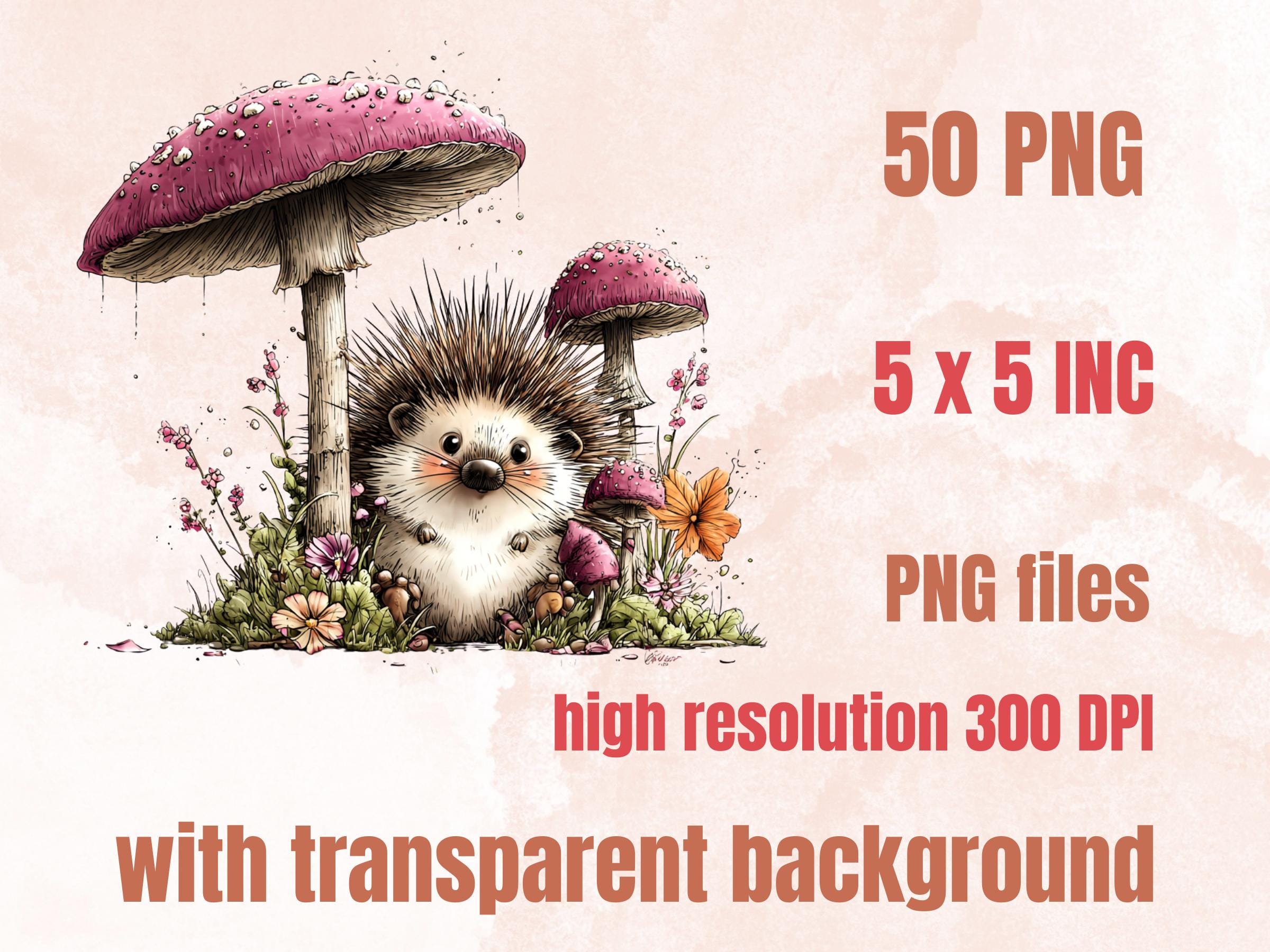 Quirky Woodland Clipart Bundle, Whimsical Forest Floral PNG Illustrations (Digital Download, Commercial Use)