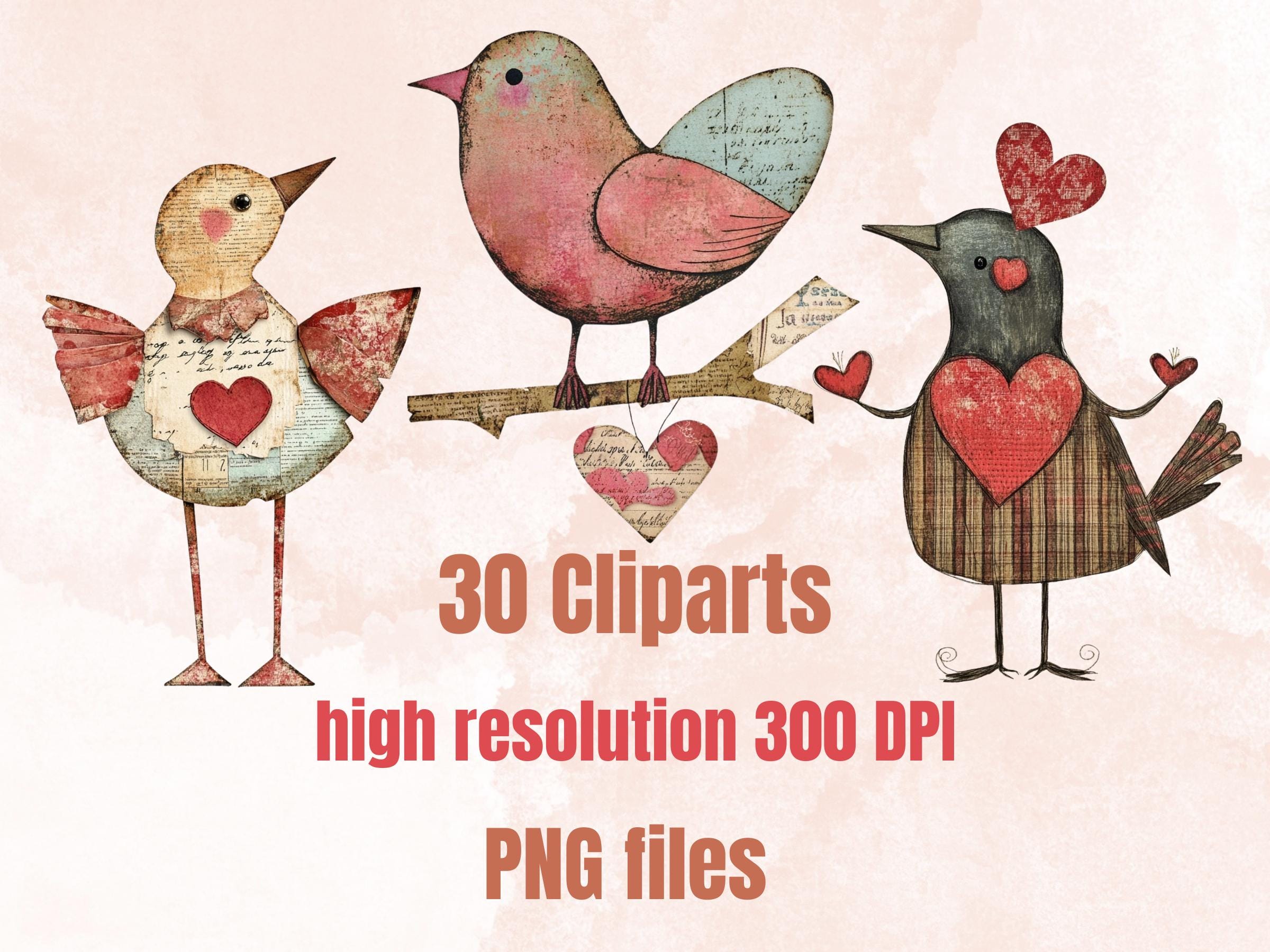 Valentines Day Bird Doll Mixed Media Clipart, Valentine Birds Fussy Cut Collage Sheet, Quirky Cut Out Ephemera, PNG + JPG for Scrapbooking