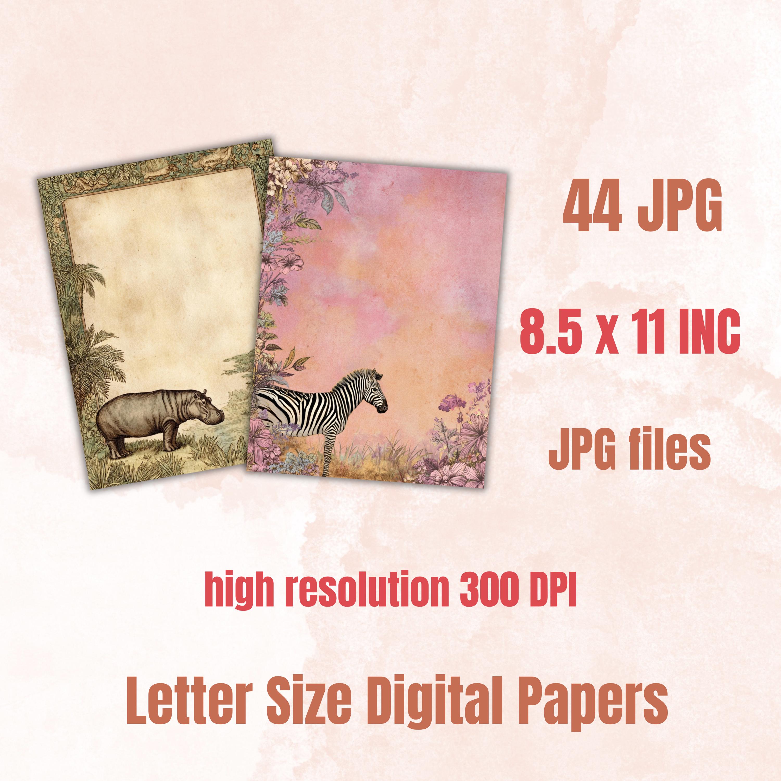 44 Safari Border Lined Pages Printable, Letter Size Jungle Animal Writing Paper Kids Stationery Commercial Use