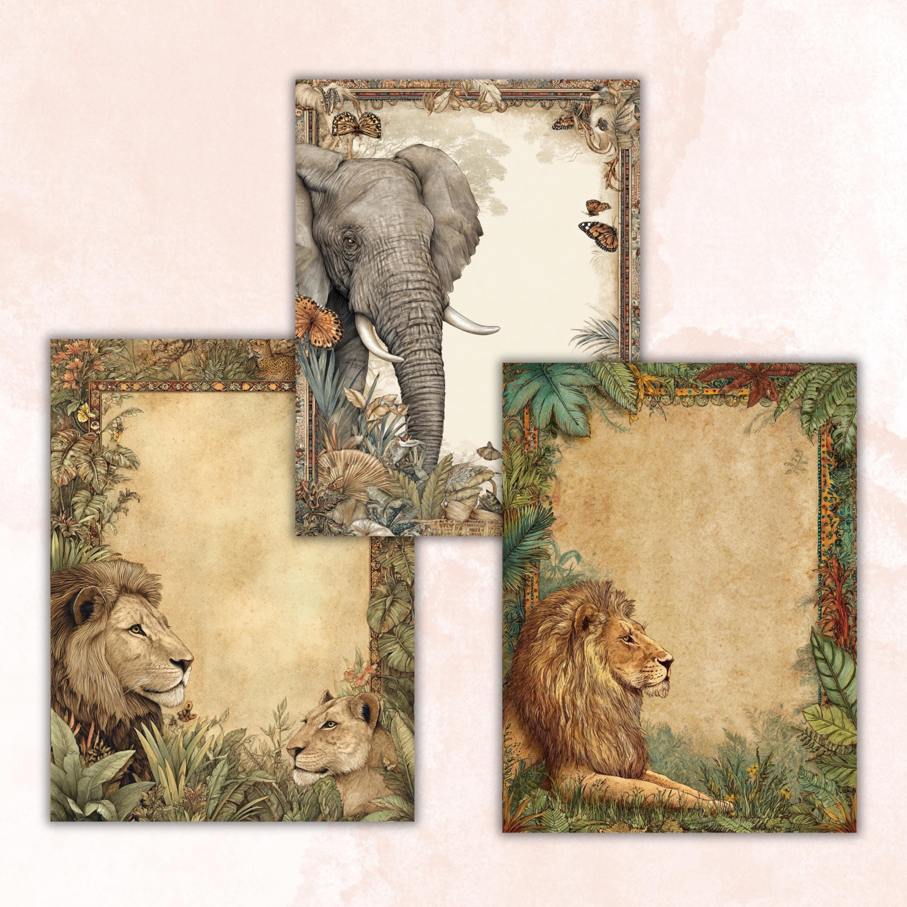 44 Safari Border Lined Pages Printable, Letter Size Jungle Animal Writing Paper Kids Stationery Commercial Use
