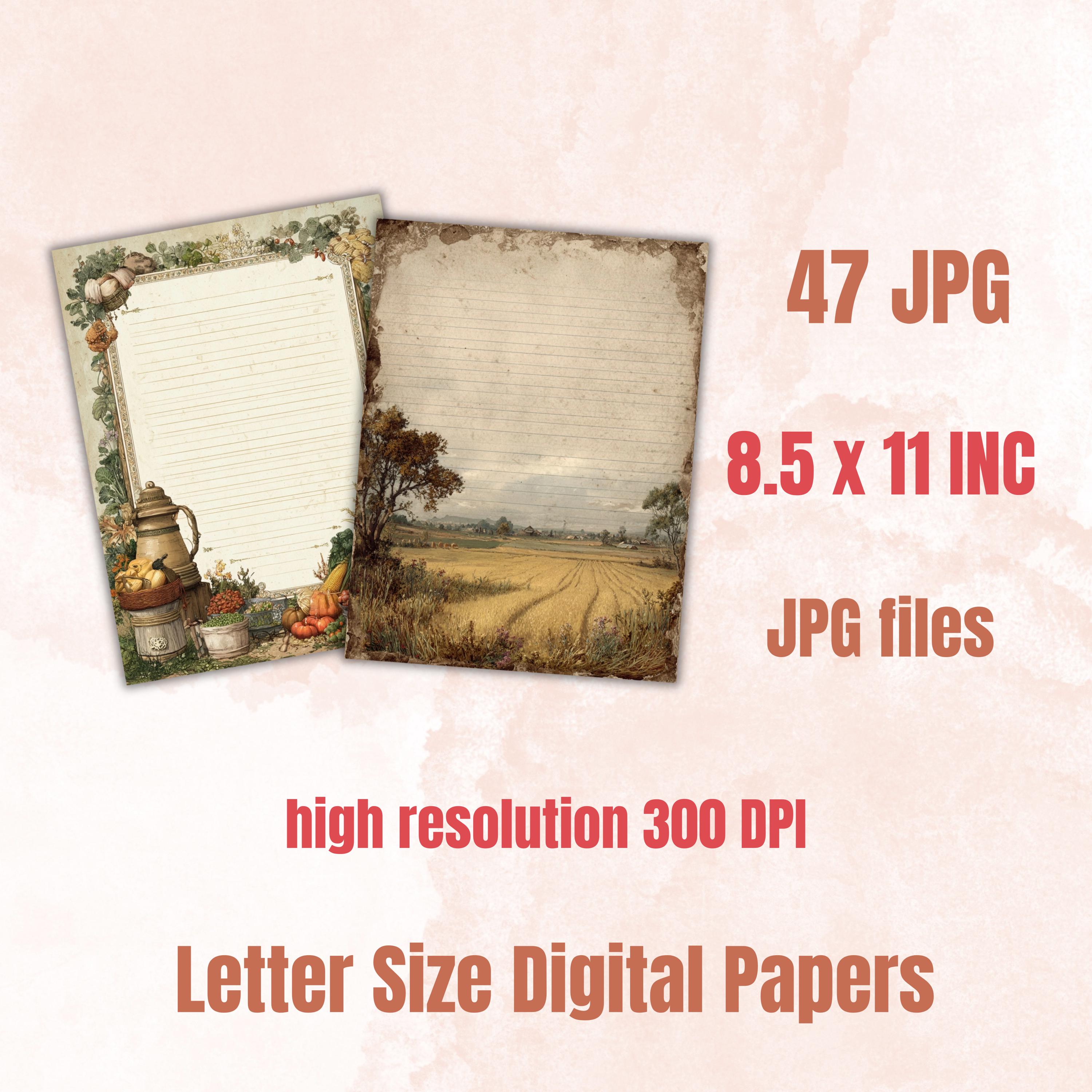 47 Farm Border Lined Pages Printable, Letter Size Farm Animal Writing Paper Kids Stationery Commercial Use