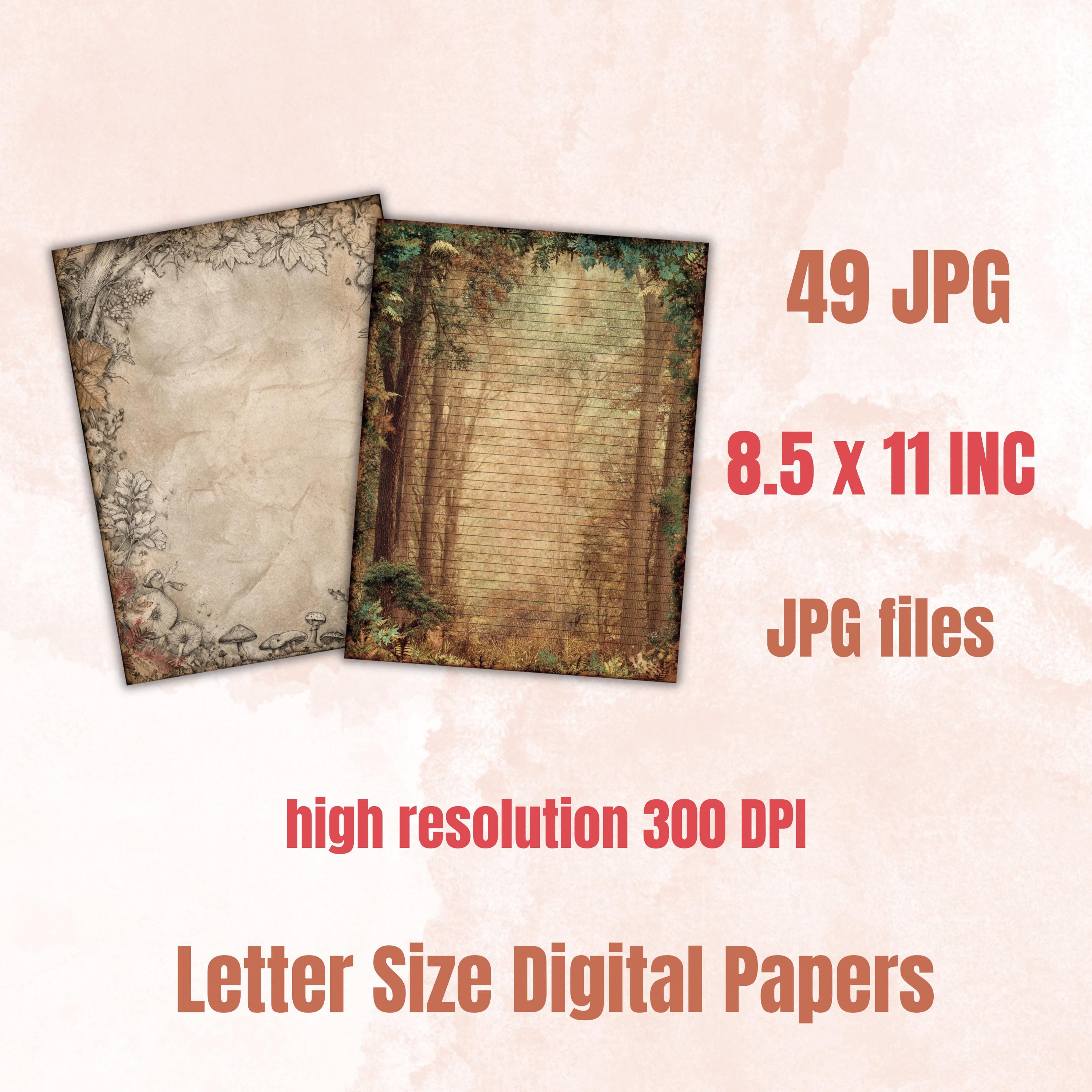 49 Woodland Border Lined Pages Printable, Letter Size Forest Animal Writing Paper Nature Stationery Commercial Use