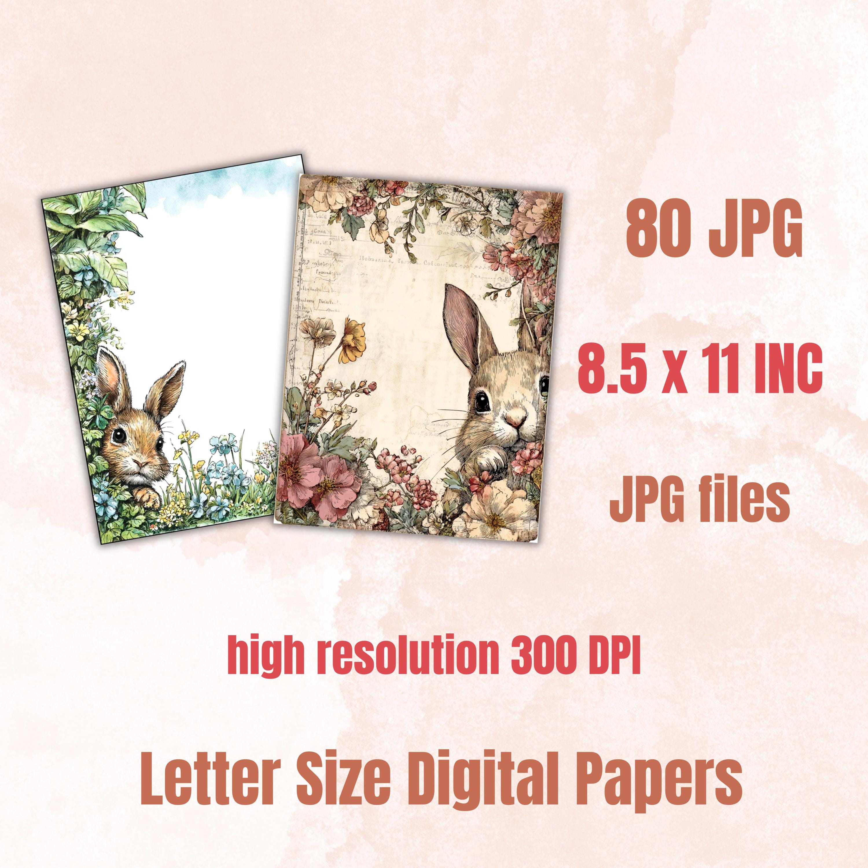 80 Peeking Bunny Border Lined Pages Printable, Letter Size Easter Rabbit Writing Paper Stationery Commercial Use