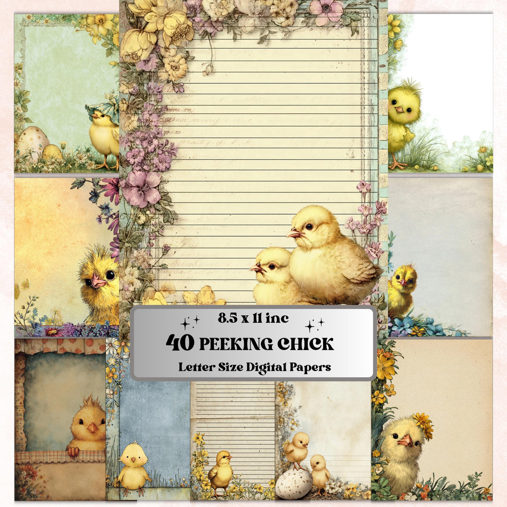 40 Peeking Chick Border Lined Pages Printable, Letter Size Easter Chick Writing Paper Stationery Commercial Use