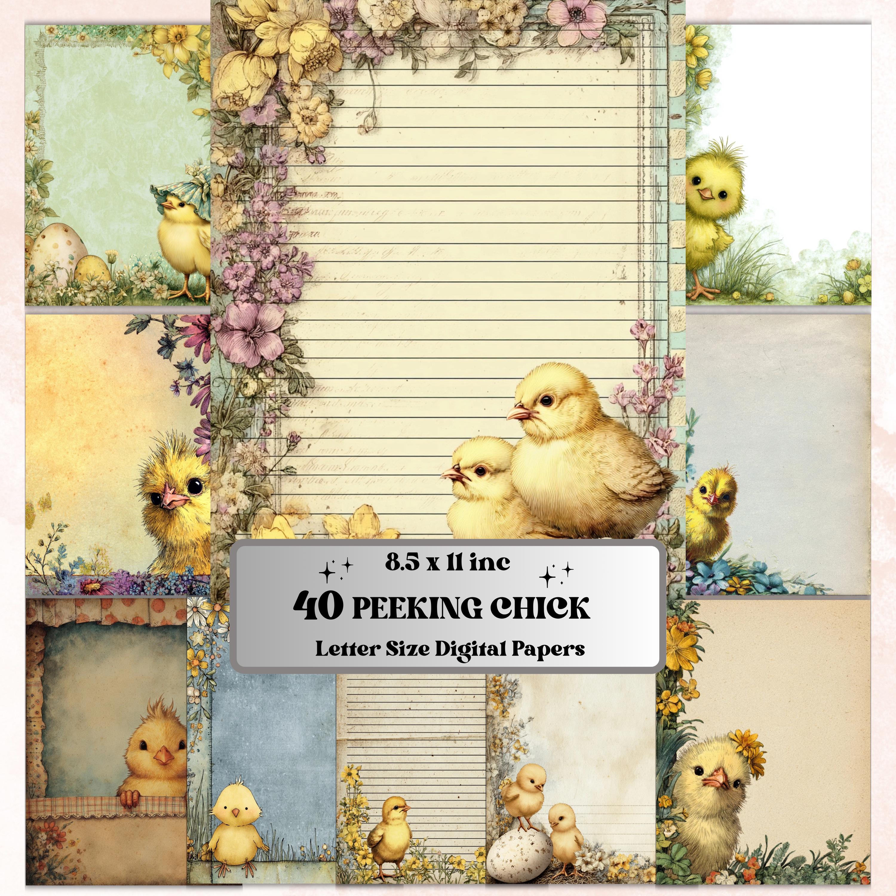 40 Peeking Chick Border Lined Pages Printable, Letter Size Easter Chick Writing Paper Stationery Commercial Use