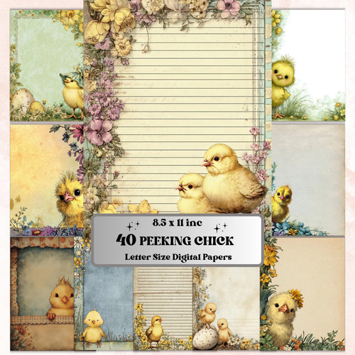 40 Peeking Chick Border Lined Pages Printable, Letter Size Easter Chick Writing Paper Stationery Commercial Use