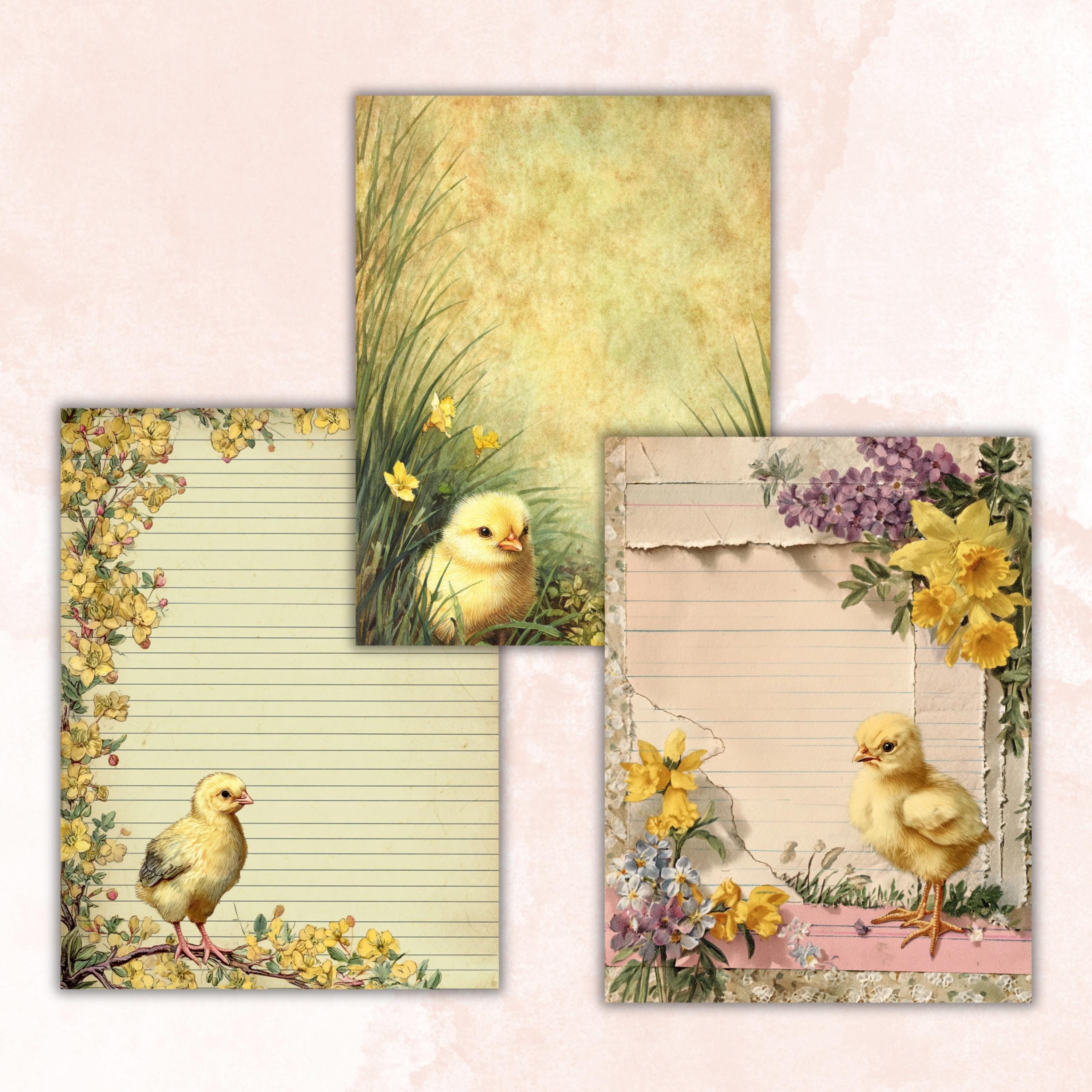 40 Peeking Chick Border Lined Pages Printable, Letter Size Easter Chick Writing Paper Stationery Commercial Use