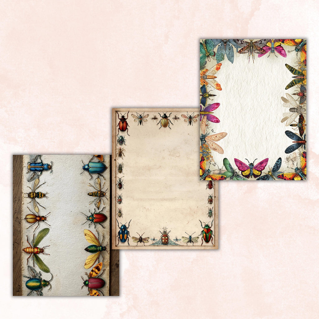 42 Insect Border Pages, Bug Writing Paper Printable, Nature Journal Pages, Kids Stationery, Educational Worksheet Paper, Letter Size