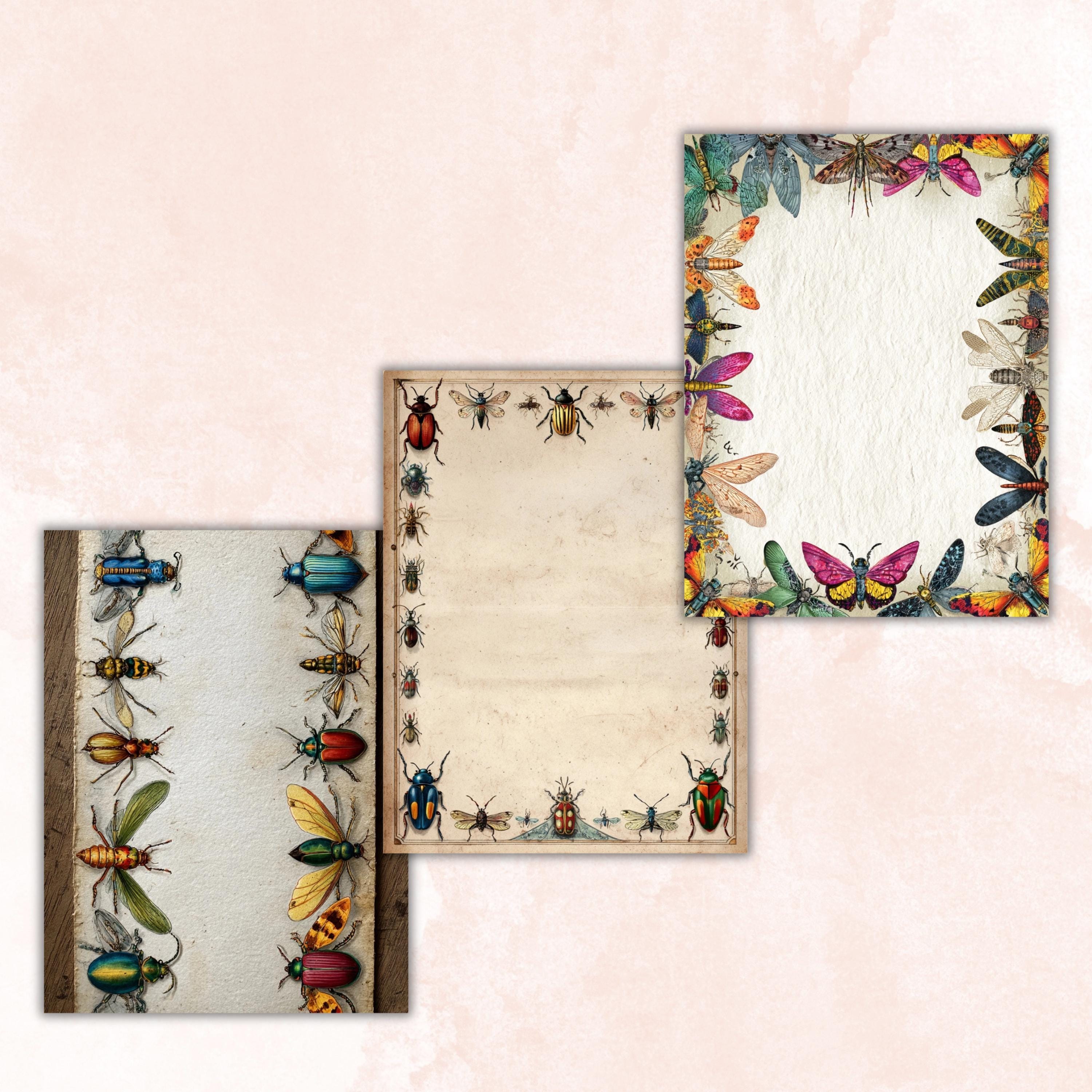 42 Insect Border Pages, Bug Writing Paper Printable, Nature Journal Pages, Kids Stationery, Educational Worksheet Paper, Letter Size