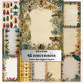 42 Insect Border Pages, Bug Writing Paper Printable, Nature Journal Pages, Kids Stationery, Educational Worksheet Paper, Letter Size