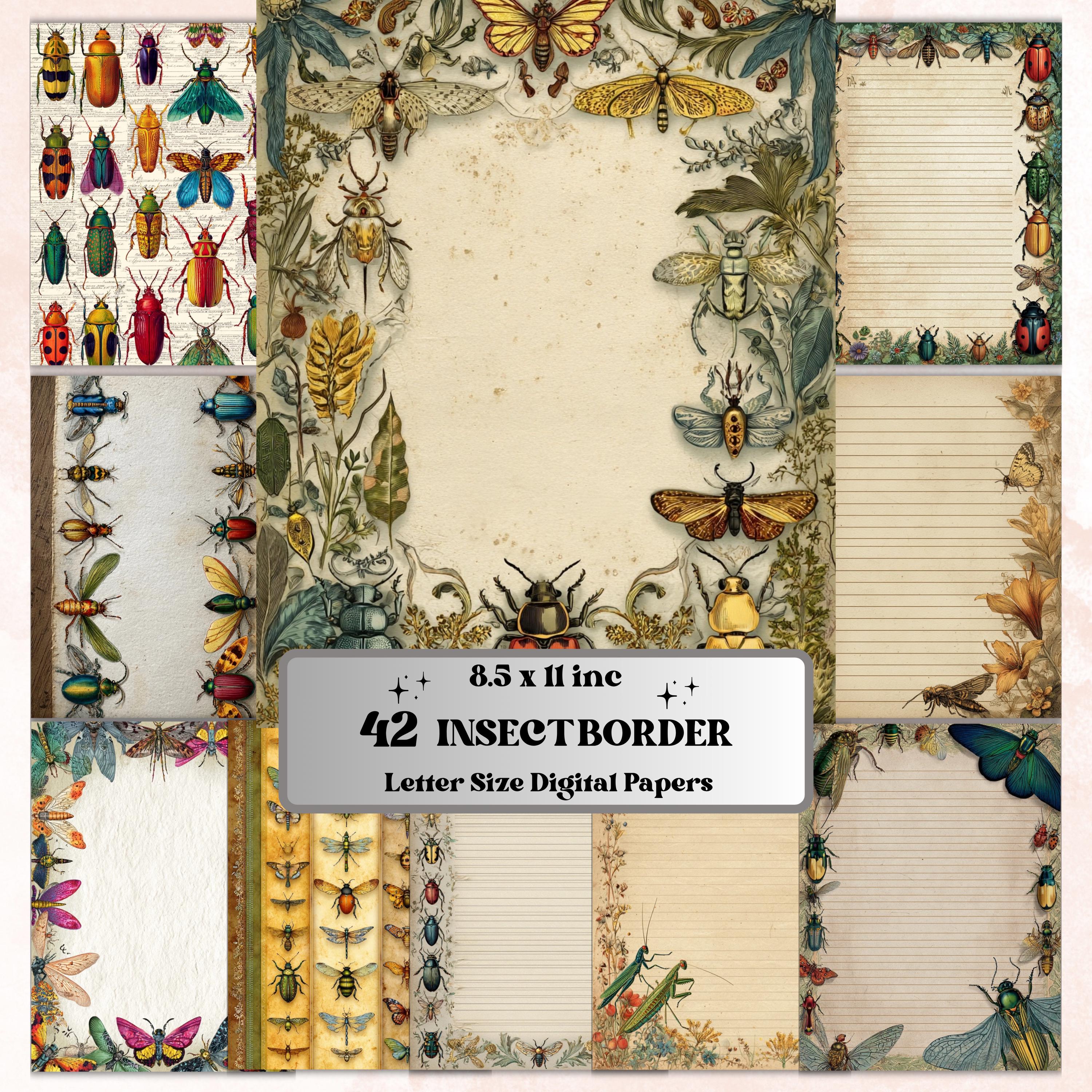 42 Insect Border Pages, Bug Writing Paper Printable, Nature Journal Pages, Kids Stationery, Educational Worksheet Paper, Letter Size