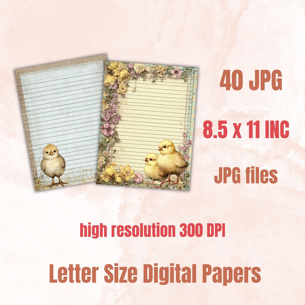 40 Peeking Chick Border Lined Pages Printable, Letter Size Easter Chick Writing Paper Stationery Commercial Use