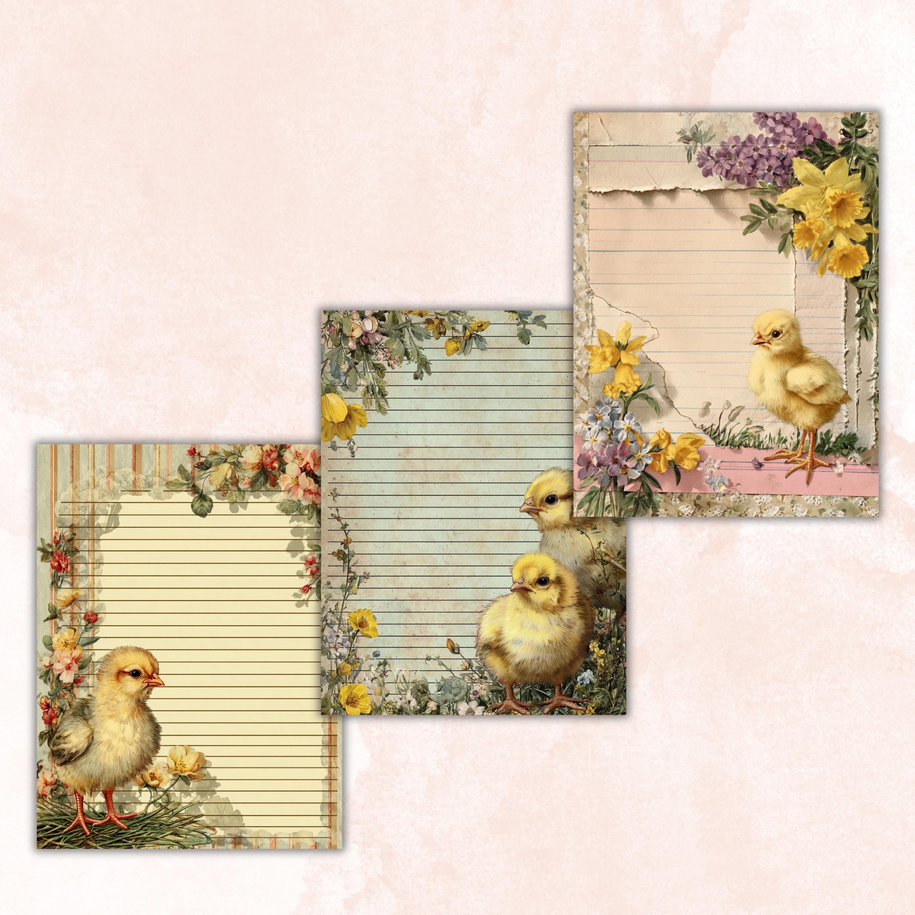 40 Peeking Chick Border Lined Pages Printable, Letter Size Easter Chick Writing Paper Stationery Commercial Use