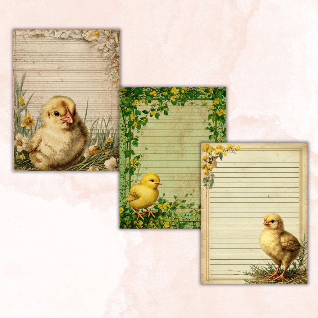 40 Peeking Chick Border Lined Pages Printable, Letter Size Easter Chick Writing Paper Stationery Commercial Use