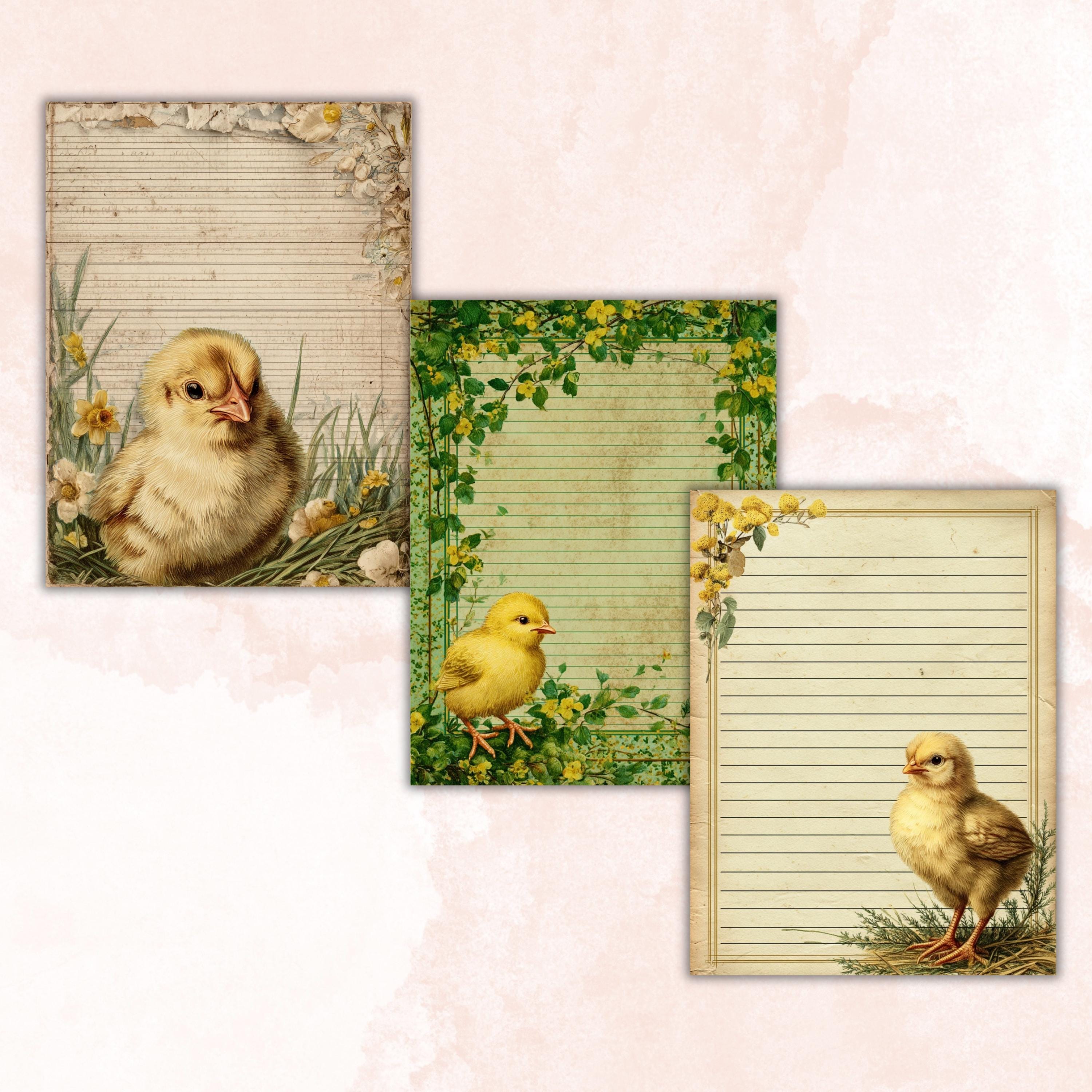 40 Peeking Chick Border Lined Pages Printable, Letter Size Easter Chick Writing Paper Stationery Commercial Use