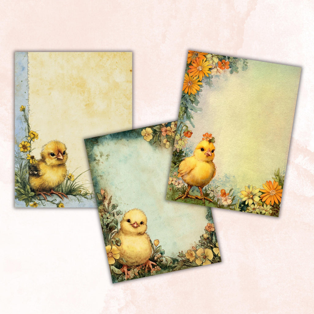 40 Peeking Chick Border Lined Pages Printable, Letter Size Easter Chick Writing Paper Stationery Commercial Use