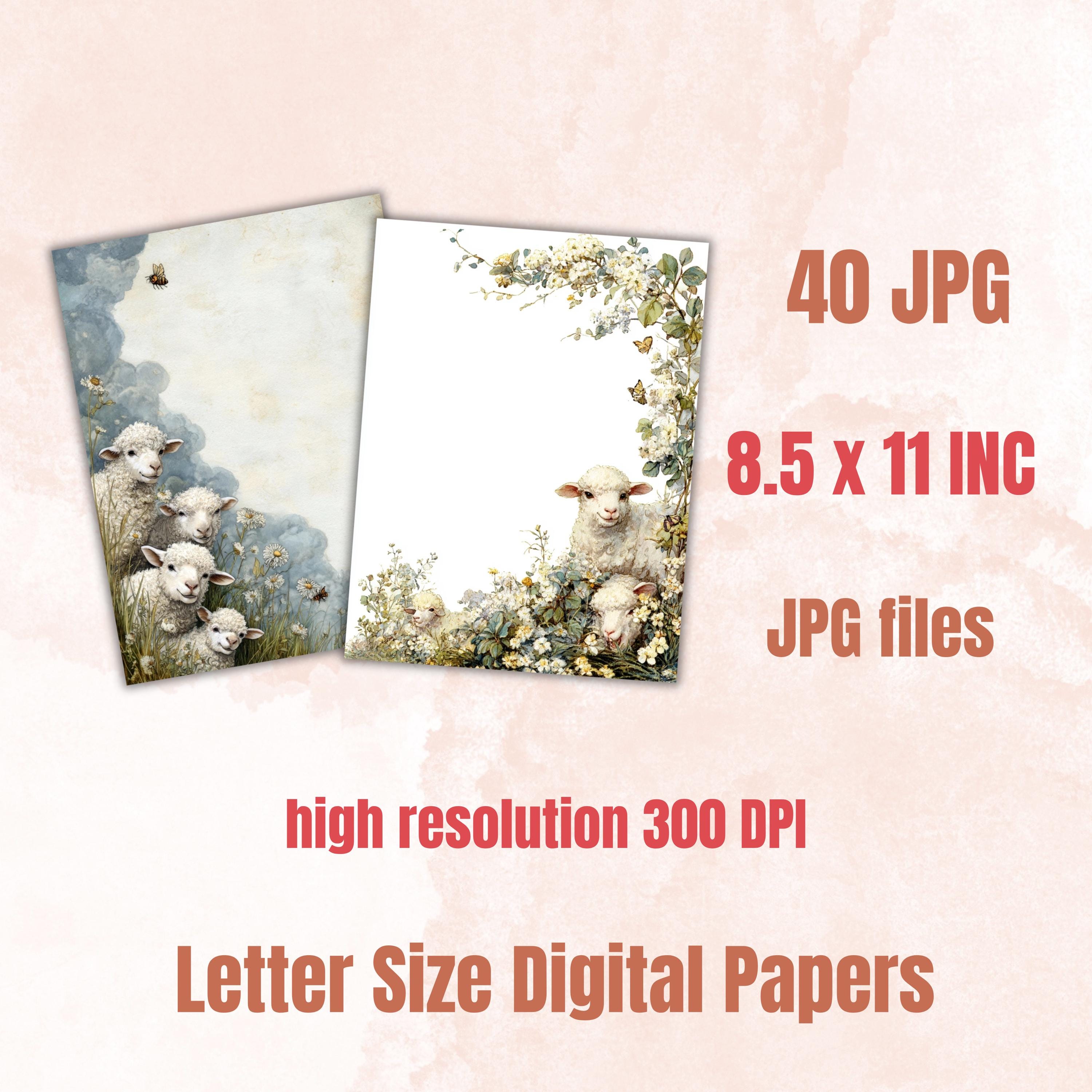 40 Peeking Sheep Border Lined Pages Printable, Letter Size Easter Lamb Writing Paper Stationery Commercial Use