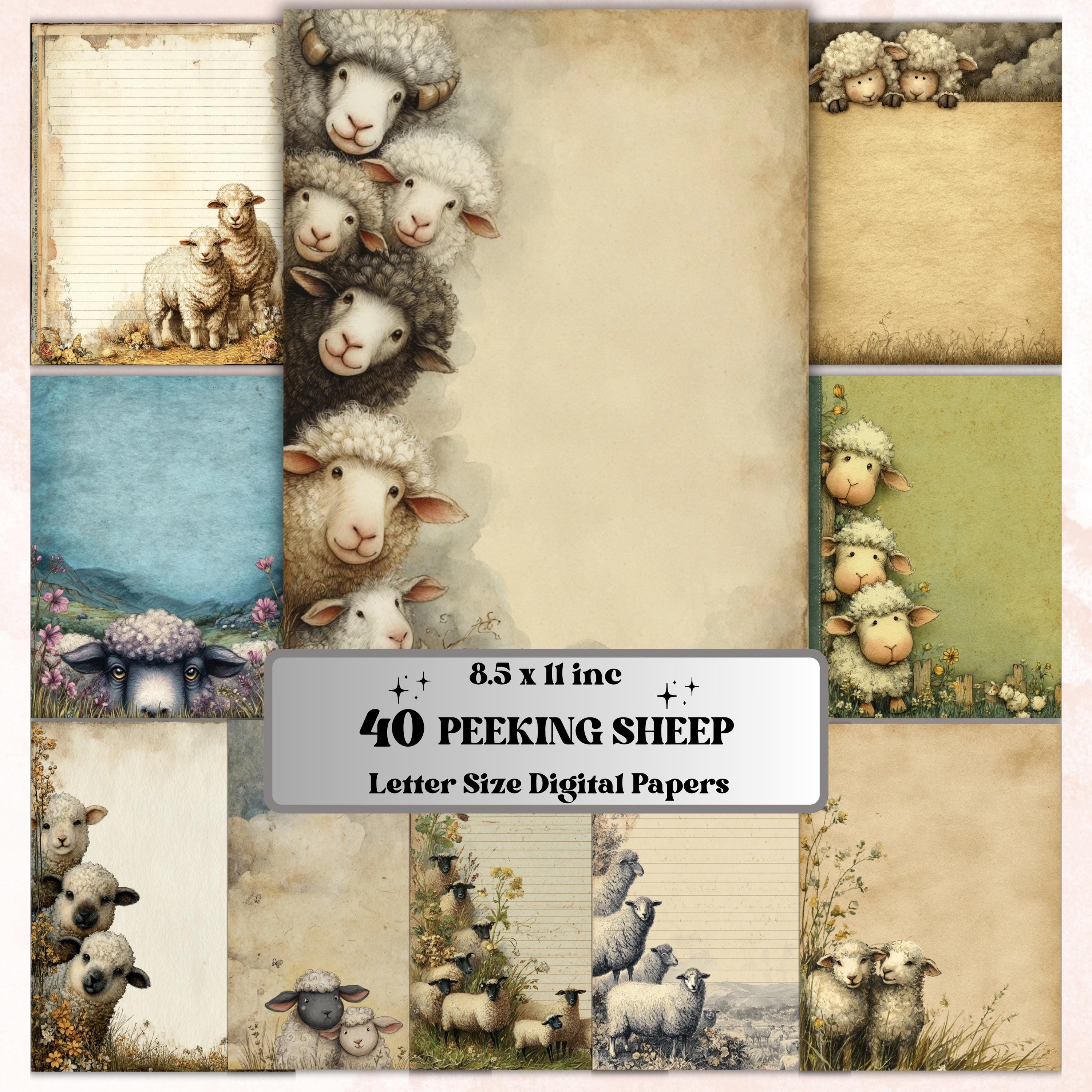 40 Peeking Sheep Border Lined Pages Printable, Letter Size Easter Lamb Writing Paper Stationery Commercial Use