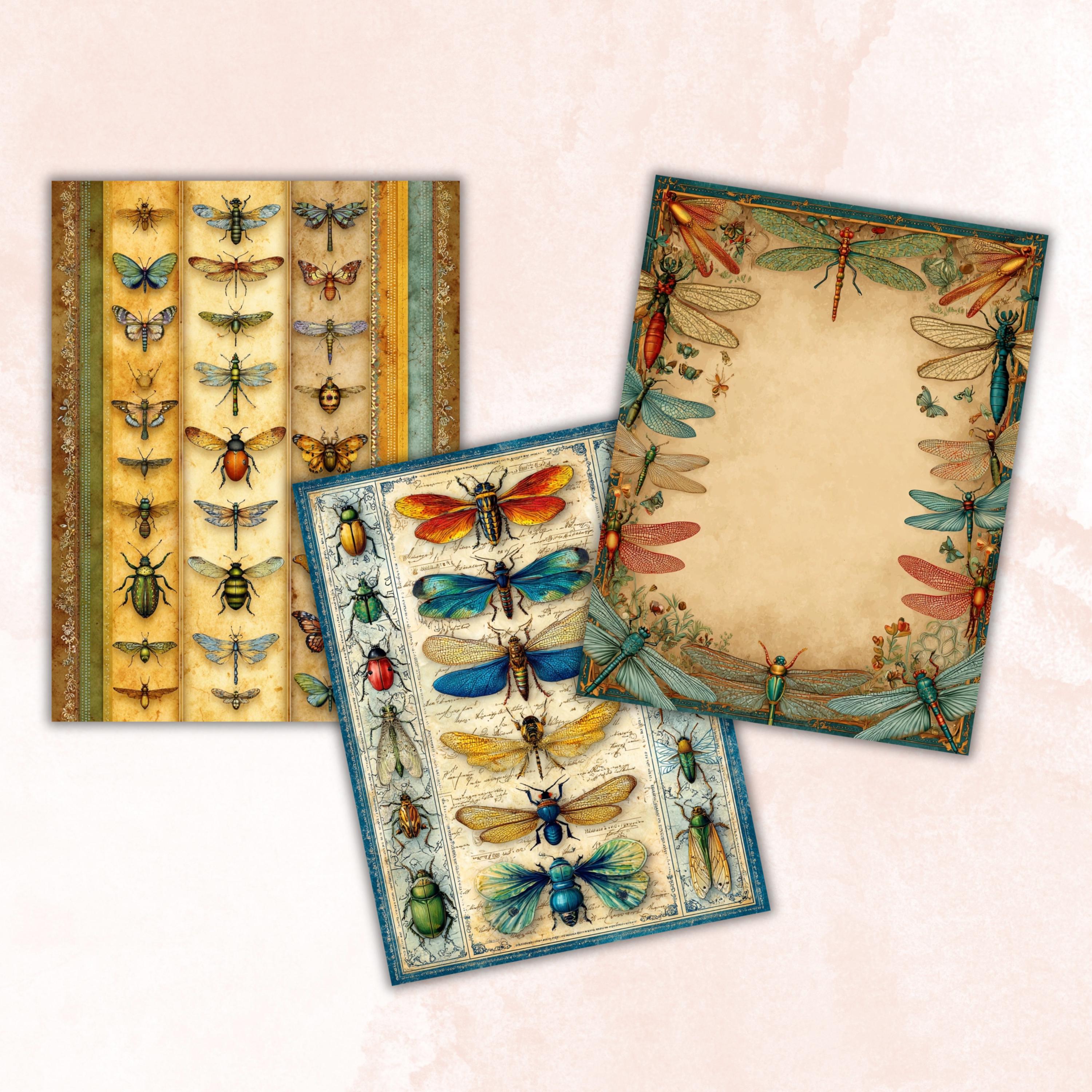 42 Insect Border Pages, Bug Writing Paper Printable, Nature Journal Pages, Kids Stationery, Educational Worksheet Paper, Letter Size