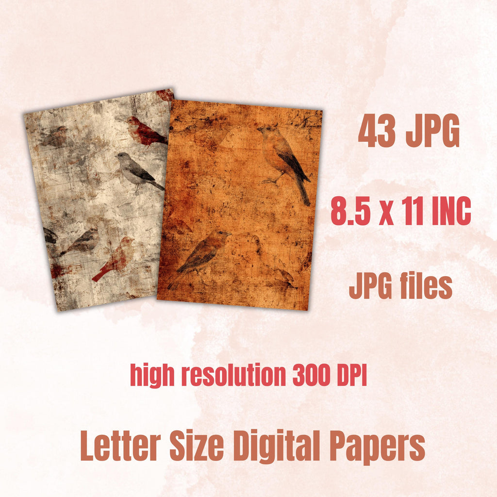 Grunge Birds Pages, Vintage Bird Collage Backgrounds, Nature Junk Journal Paper, Rustic Wildlife Printable, Letter Size
