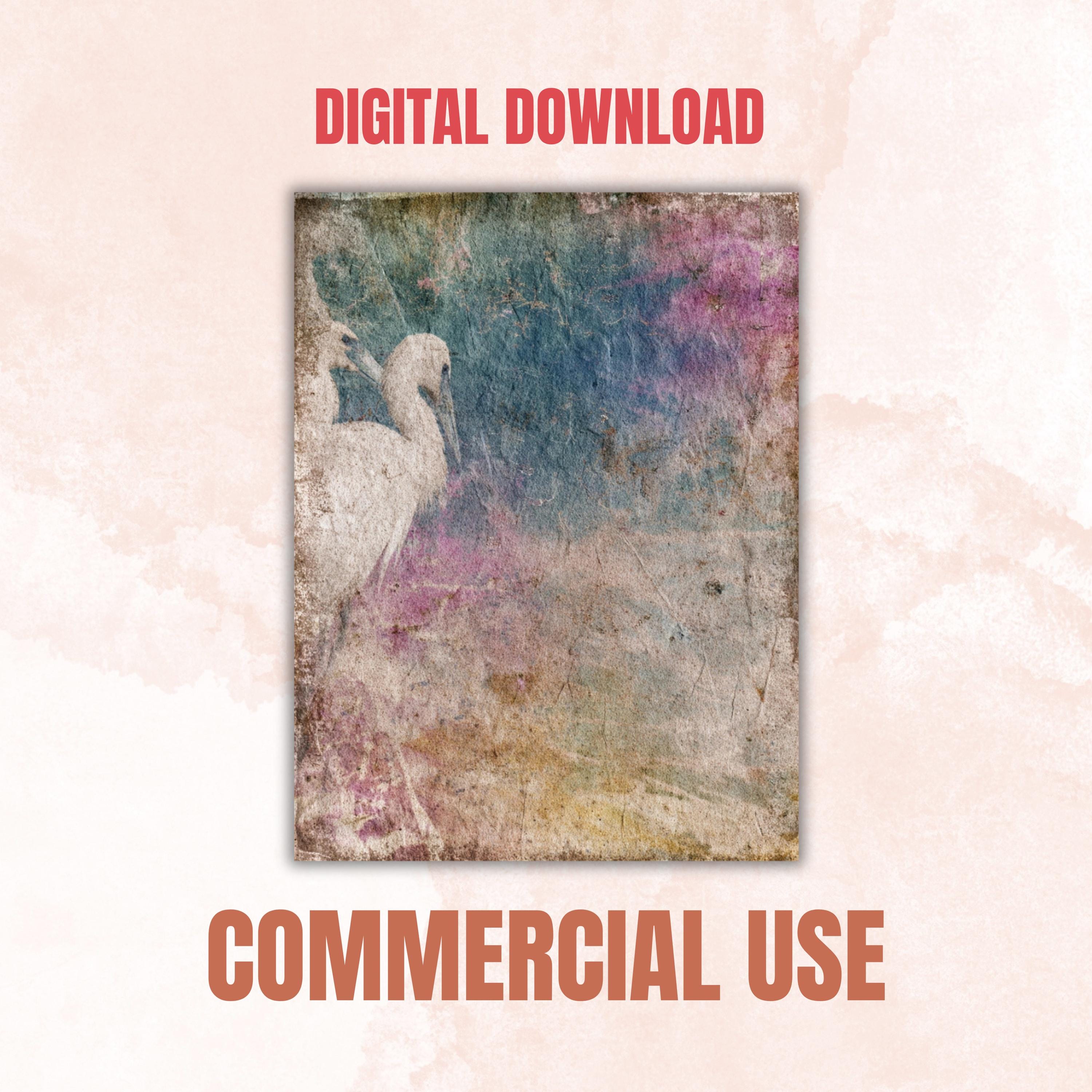 Grunge Birds Pages, Vintage Bird Collage Backgrounds, Nature Junk Journal Paper, Rustic Wildlife Printable, Letter Size