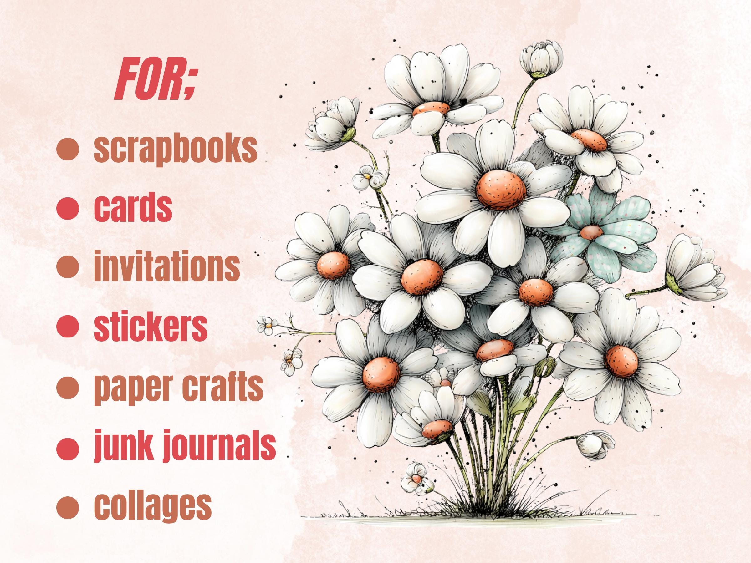 Daisy Clipart Bundle | 45 Whimsical Quirky Daisy PNG | Summer Flower Digital Download
