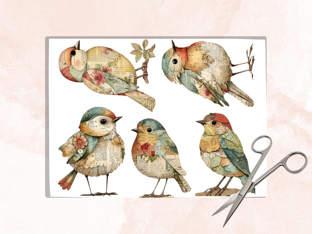 Whimsical Paper Birds Fussy Cut Bundle, 40 Mixed Media Bird Cutouts, Nature Ephemera Junk Journal Scrapbook Sheets