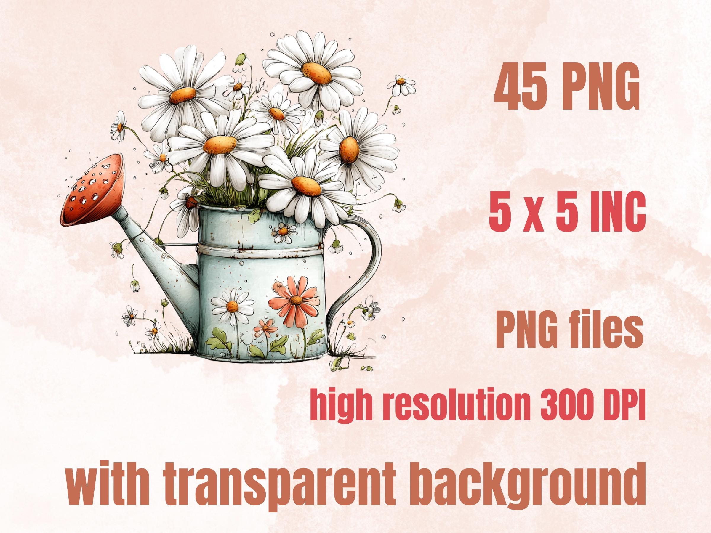 Daisy Clipart Bundle | 45 Whimsical Quirky Daisy PNG | Summer Flower Digital Download