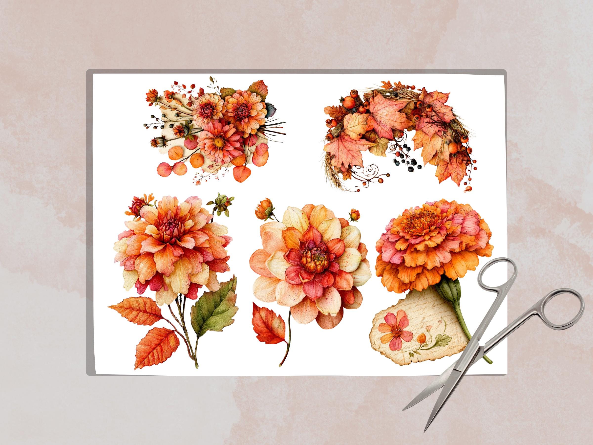 Fall Flowers Fussy Cuts & Clipart, Printable Autumn Floral Cut Outs, Botanical Ephemera, Junk Journal Scrapbook Kit